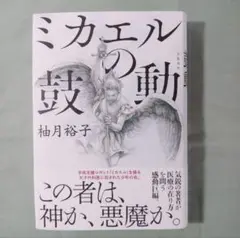 ミカエルの鼓動 柚月裕子　本　小説