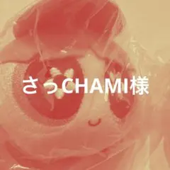 さっCHAMI 様