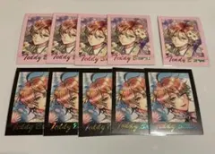 あくねこ ぱしゃこれ Premium Vol.2 テディ