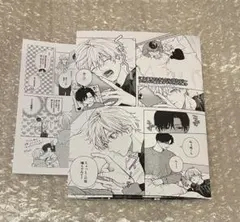 愛の温度でとかしたい Hiカロリー アニメイト小冊子