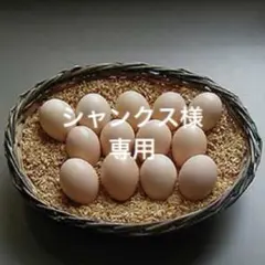 烏骨鶏のたまご　50個のサムネイル