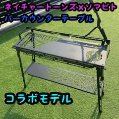 2026年最新】ネイチャートーンズ ソマビトの人気アイテム - メルカリ
