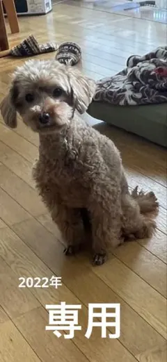 COCO family 様　専用