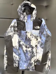THE NORTH FACE×Supreme 雪山マウンテンパーカー Lサイズ