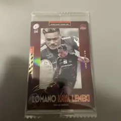 Item thumbnail for item fa890f78-6a37-4324-9b81-aa9d619e4bc3