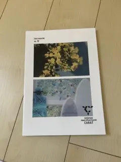 CARAT MAGAZINE VOL.12 + 写真カードセット