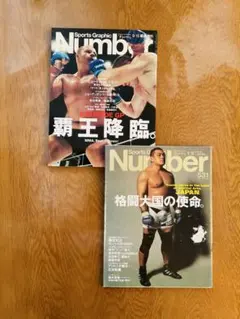 Item thumbnail for item 82a8a4a6-f73d-49f6-92ea-7c1ed5613705