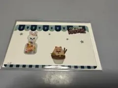 leebit リービット リノ SKZOO POPUP 特典クリアカード