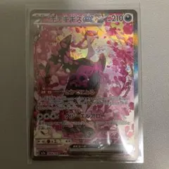 メガドリームex キチキギスex SAR