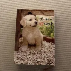 Item thumbnail for item ab109847-3f84-4085-b3ca-ae72e0642506