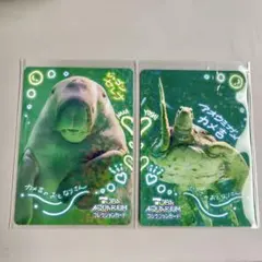 非売品 海のいきもの49 カイジョウジエイタイ カード図鑑 防衛省
