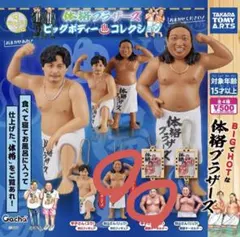 体格ブラザーズ　ビッグボディ　コレクション