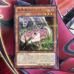 遊戯王　ツチノコ　⑤