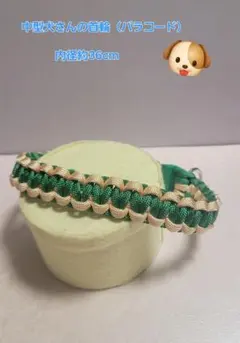 Item thumbnail for item 78b92262-5ac0-41a5-aaba-2b2558a4b3aa