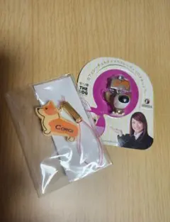 Item thumbnail for item f02f791b-c2ae-42ad-9c0c-79e7f190e317