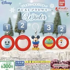 ディズニー めじるしアクセサリー