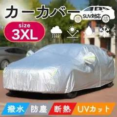 Item thumbnail for item c3d9072f-b090-486b-8b3e-c8ea423c7c3c