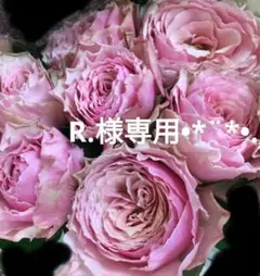 2026年最新】バラ売り交渉可。値段その都度相談の人気アイテム - メルカリ