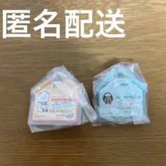 【匿名配送】 BT21 パッケージチャーム 2点セット RJ SHOOKY