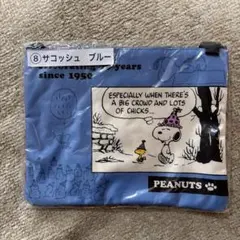 PEANUTS スヌーピー ポーチ ブルー