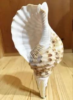 Item thumbnail for item 5f0eb2da-de0c-43e2-bd91-20b035294866