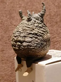 【新品】 OZWRT SS TheCaudexMan PachypusMan