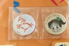 ママレードボーイ　りぼん　缶バッジ　スリーコイン　吉住渉　3coins