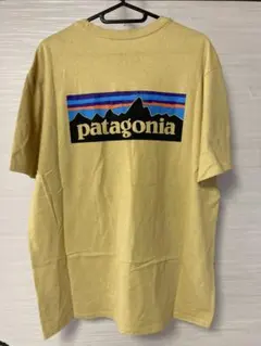 patagonia パタゴニア　イエローTシャツ Mサイズ