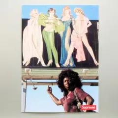 SUPREME AMERICAN PICTURE STICKER