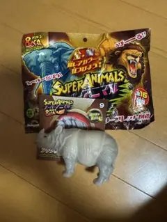 アンドコアニマル サイ