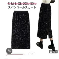 黒のスパンコールスカート