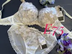 サルート E75 単品ブラジャー 39G WI アテナ 店舗限定 サルート E75 単品ブラジャー 39G WI アテナ 店舗限定 サルート