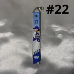 横浜DeNAベイスターズ ファンフェス ボンフィン 入江大生 選手