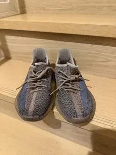 Yeezy Boost 350 V2
