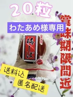 【わたあめ様専用】ムラオカの梅しば カリカリおうめさん 20粒