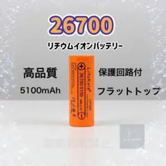 Item thumbnail for item 093e22ac-e675-454f-ab0d-3b460cadc398