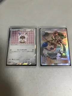 ポンチョを着たイーブイ　マオ SR