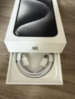 Apple純正　充電ケーブル タイプC to C ケーブル
