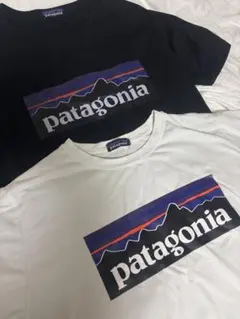 patagonia Tシャツ 2枚セット Lサイズ