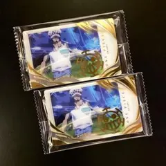 ワンピースイタジャガ プラマイドLOG.4 トラファルガーロー R 2枚セット