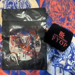 Item thumbnail for item 2353beff-e30b-4f92-b4d6-bbe17926b5b5