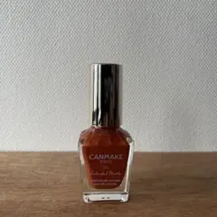 キャンメイク カラフルネイルズ　N42