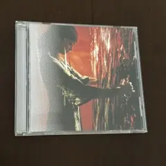 安室奈美恵　CAN YOU CELEBRATE?