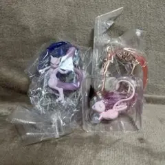 ポケモン　ミュウ　ミュウツー　デコラティブ　フレームコレクション