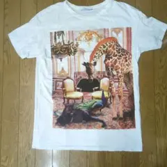 ZARA 動物プリント Tシャツ ホワイト