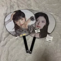 Item thumbnail for item 3c03afa6-1779-4f98-82e7-f22b9923e898