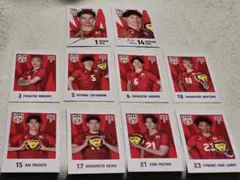 バレーボール 日本代表 トレーディングカードセット キャラポトレ