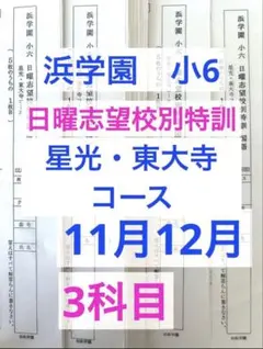 2025年最新】東大寺星光の人気アイテム - メルカリ