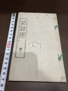 淞水驪歌 1冊 和本 唐本 漢籍 線装 漢詩 漢文 - メルカリ