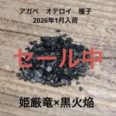 2026年最新】黒火焔の人気アイテム - メルカリ
